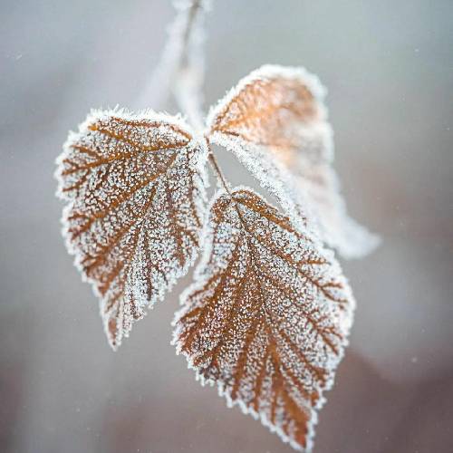  نمی ارزه به سگ دوش خوشحال باش